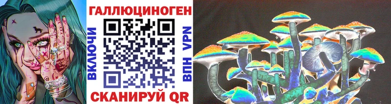 Галлюциногенные грибы мицелий магазин наркотиков Тайшет